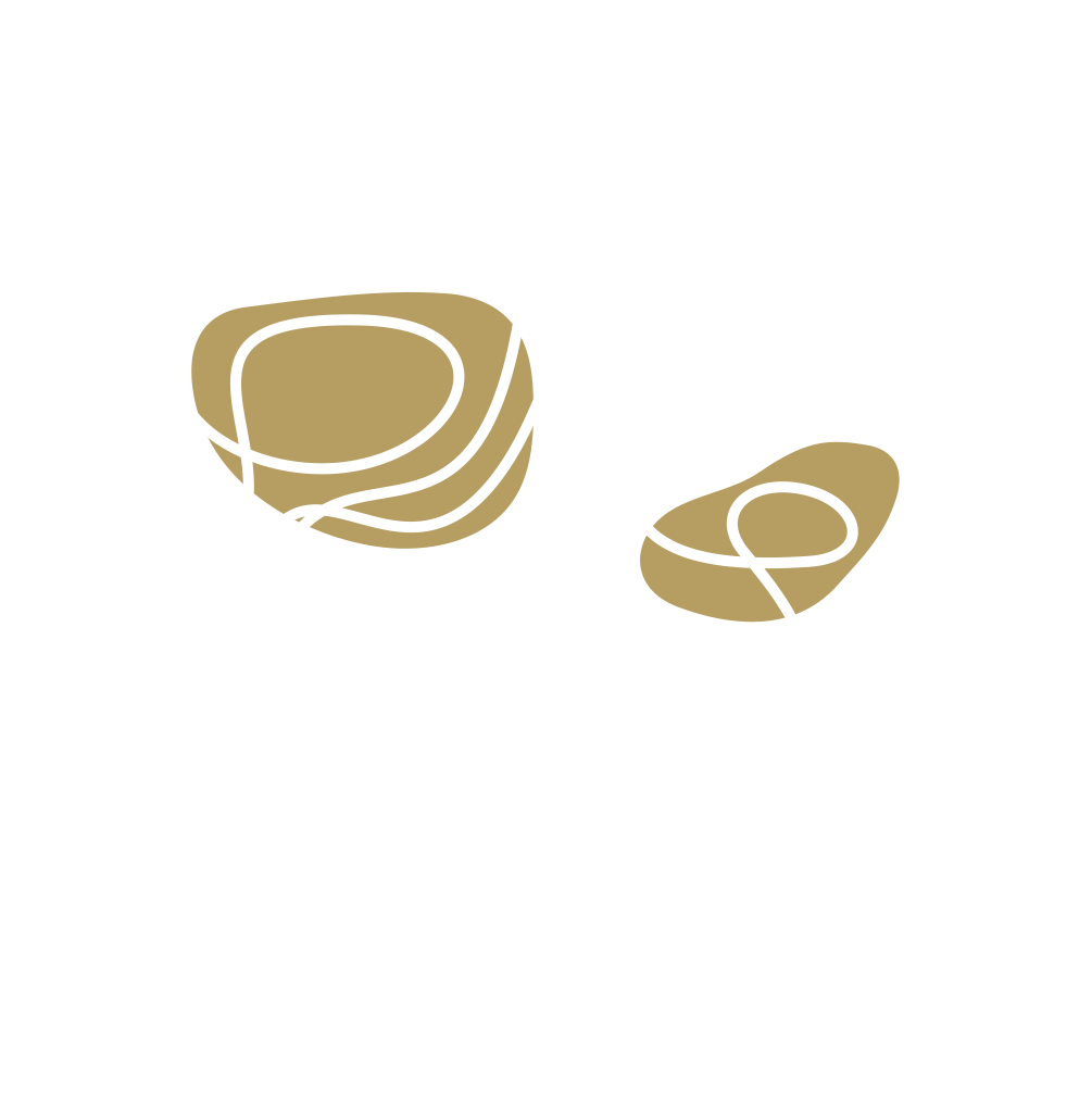 Champagne DS Bouvier